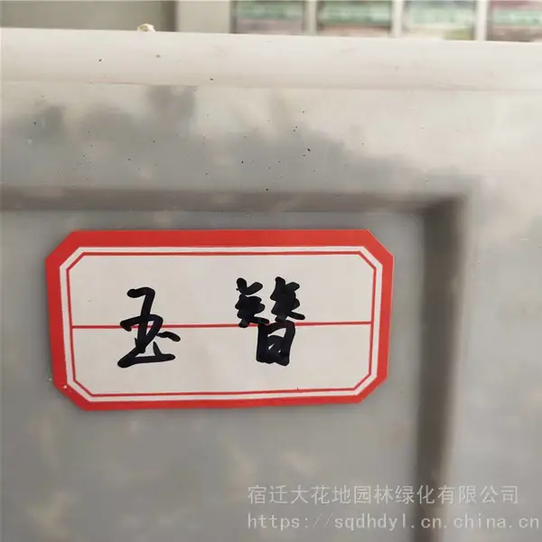 �����²�ժ�ݻ����� �������� ��ѿ*** �۸���� ***