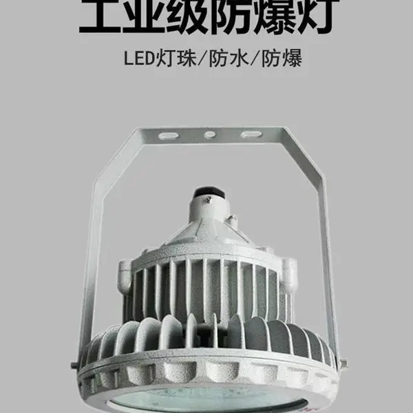 LED防爆灯 防爆泛光灯 防爆荧光灯 200W防爆投光灯 可定制防爆灯