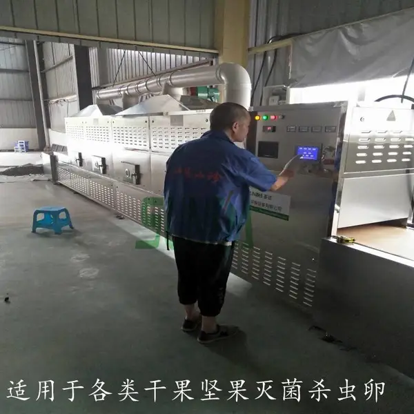 甘肃坚果杀菌机大枣杀虫卵设备各类干果灭菌杀虫机