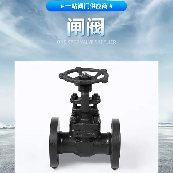 Z41H-25C��������բ���㽭��һ