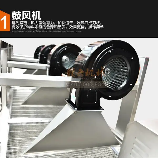 大枣辣椒清洗风干线全自动果蔬吹干机配套净菜流水线加工设备