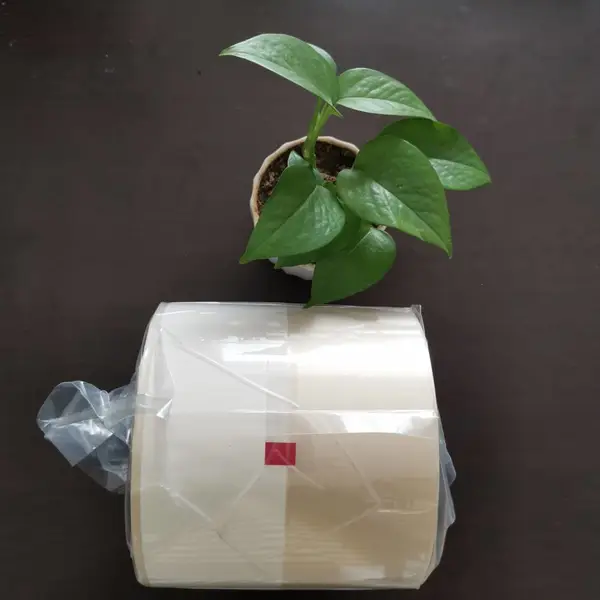医用透析卷纸