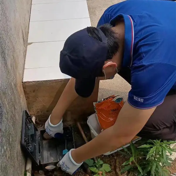仓库上门灭鼠多少钱-萝岗上门灭鼠多少钱-瑞克害虫防治(查看)