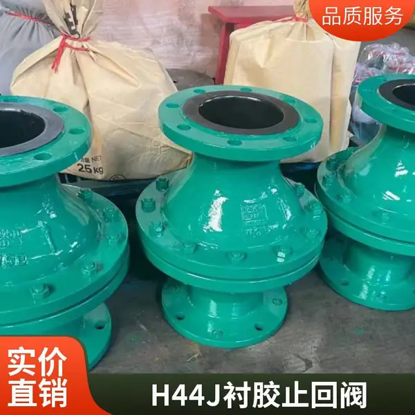 H44J-10C DN350 弱酸碱介质单向直通式法兰连接 衬氟衬胶止回阀