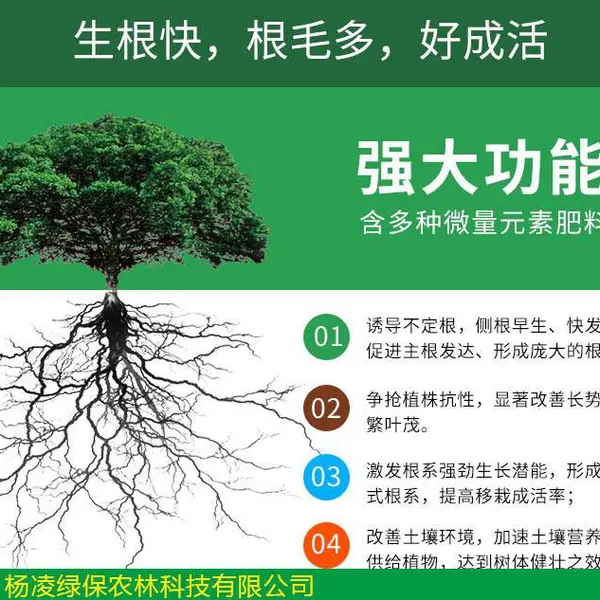 辉隆宝叶面肥_微量元素补充剂