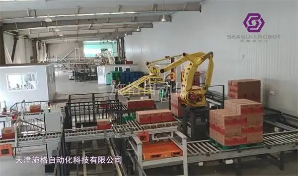 天津码垛机器人订购-施格自动化(在线咨询)-天津码垛机器人