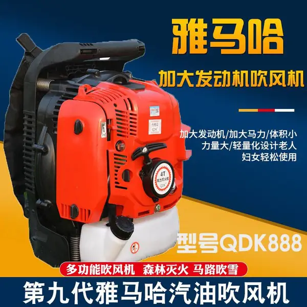 ���������ʱ���ʽ������ĳ���������ﴵѩ��QDK888