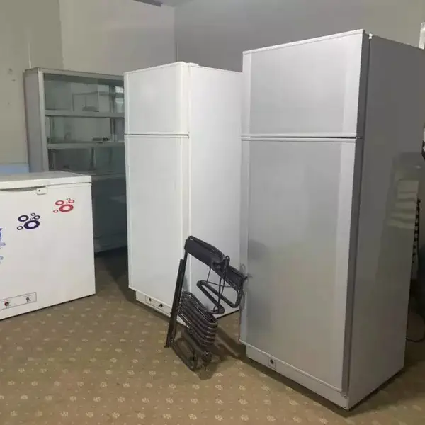 供应Gas refrigerator燃气冰箱仿真酒窖 ,恒温恒湿,无压缩机,无声音,独立式红酒柜