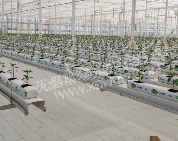 新型荷兰模式立体种植槽栽培槽设备,草莓种植槽机器,无锡雄博机械