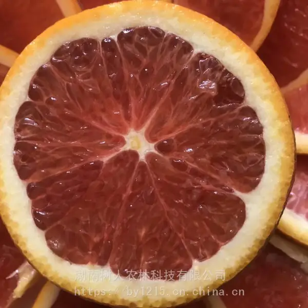 �����������_����ũ���޻��������_�޽���ȱ���