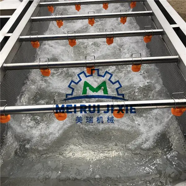 叶类蔬菜清洗机 果蔬气泡清洗机 净菜加工流水线