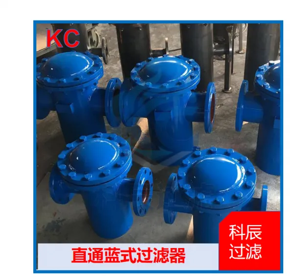 立式直通快开篮式过滤器 定制长度 DN200 高压工况