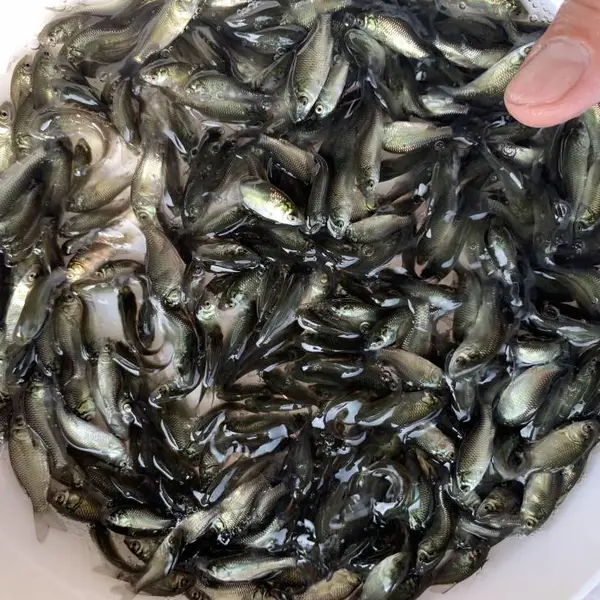 �����磬����������