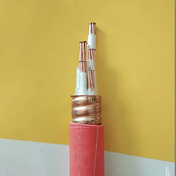 YTTW�����Ե����