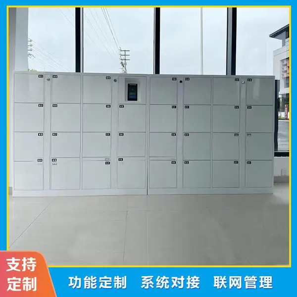 政务办公定制TRHA 智能设备柜 人脸识别储物柜 国产化适配