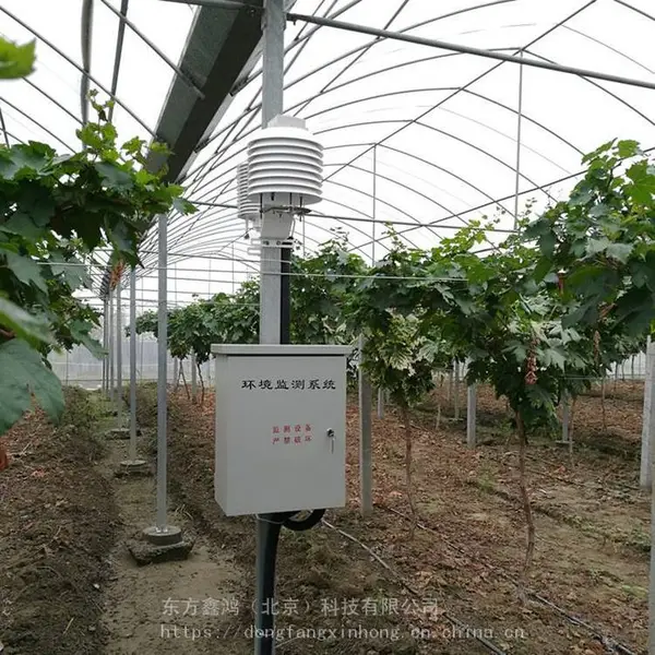 智能温室控制系统、温室大棚智能控制系统 DF-WSK