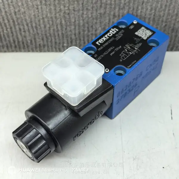 Rexroth / R988129092 4WE6D1X/HG24N9K4 / 先导式单向阀现货
