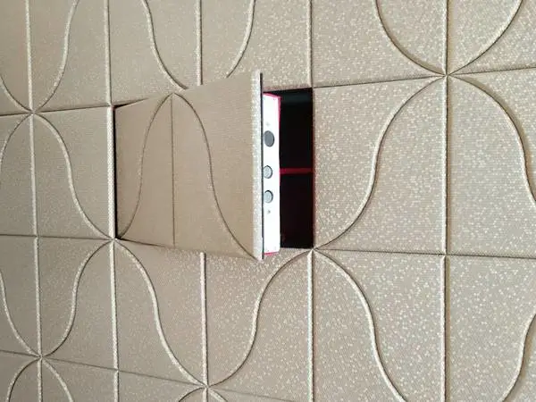 ʲô���ı��չ�***