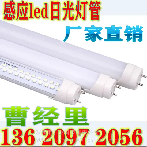 雷达感应LED日光灯室内照明灯T8日光灯支架灯管人体感应图片