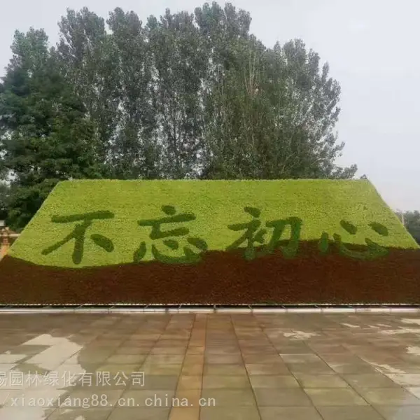 �Ĵ��ڽ�������Ʒ ,���ͽ����������������̵�ĳ���
