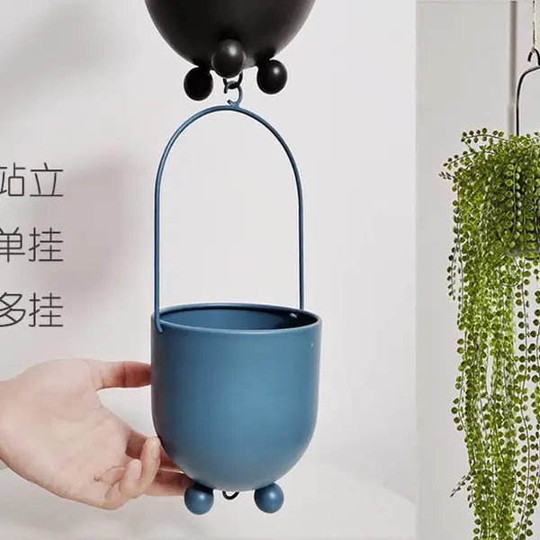 ins��Լ����������ʽ�������Ҵ�ھ������ͥ��̨��ֲ��ֲ