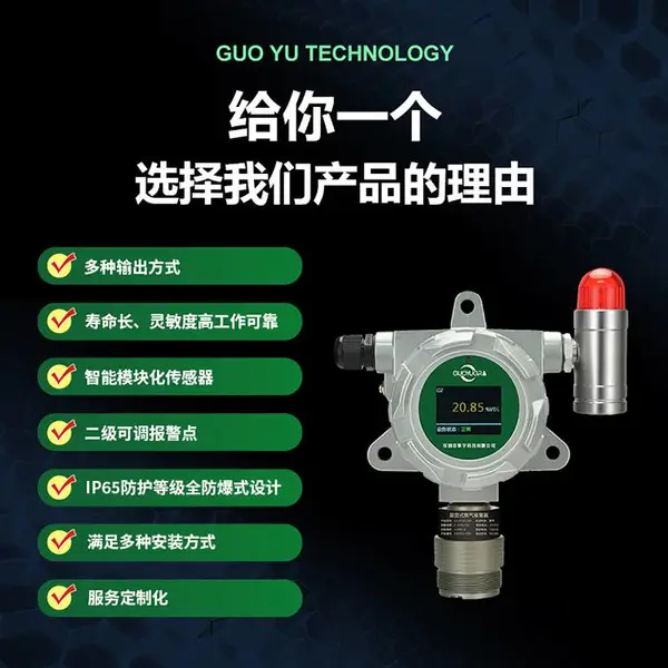 ����ʽ�������� GY/VGD-200-N2 ����������̽����