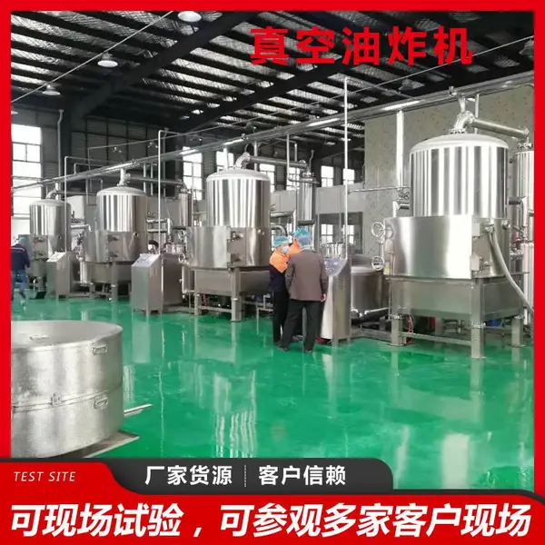 低温真空油炸机 秋葵脆 薯条脆 休闲零食加工设备