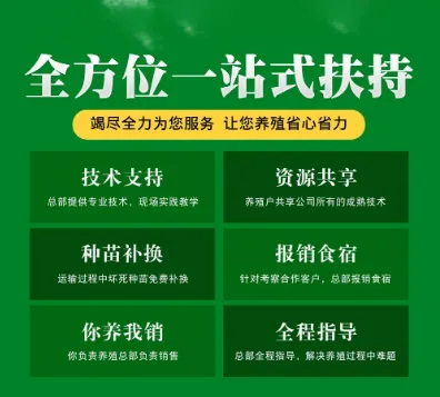 文山精品蛋白虫养殖加盟合作厂家