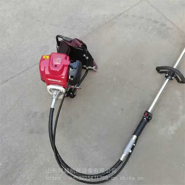 ԰�ָ��� ���Ա���ʽ��� ��԰���ݸ�ݻ� ����������