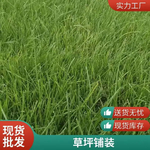 施工家庭花园设计家庭庭院设计草坪铺装小区草坪施工延庆