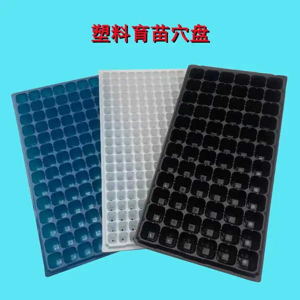 育西瓜苗的塑料穴盘 72孔西瓜育苗盘 可重复使用