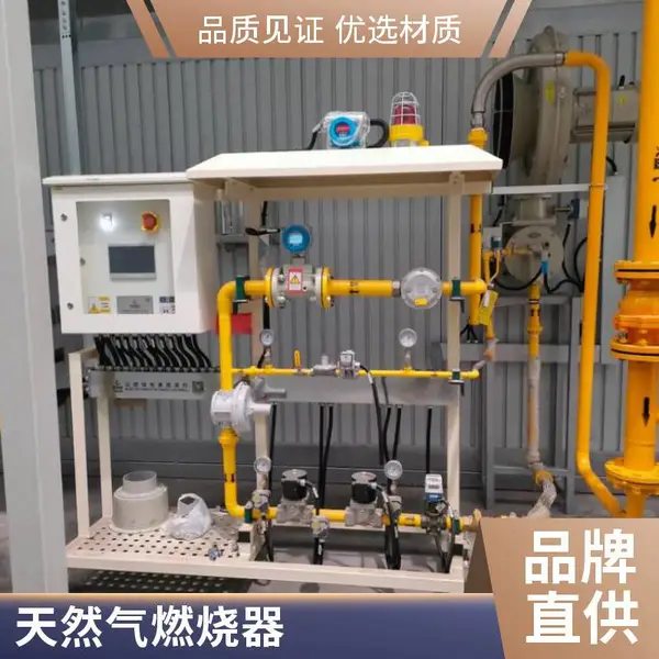 岱鼎600KW天然气燃烧器炭化炉可定制源头厂家