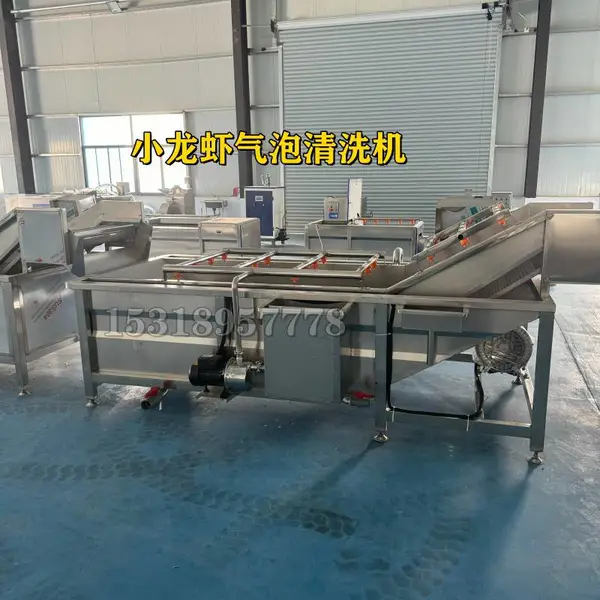气泡清洗机 清洗流水线 净菜加工设备