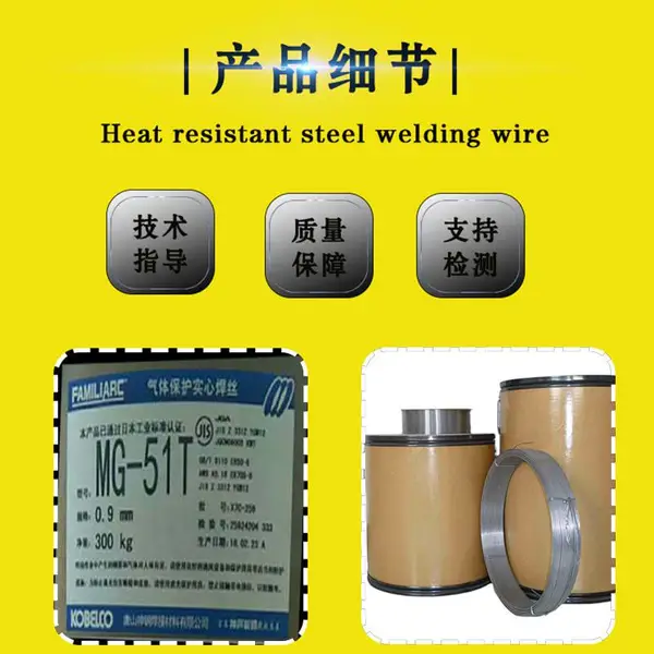 �ձ����Ƹ�NC-39 E309-16����ֵ纸����