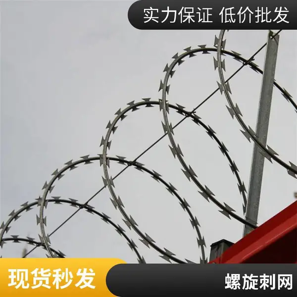 厂家定制PVC包塑刺绳防爬镀锌刺丝 小区学校铁蒺藜