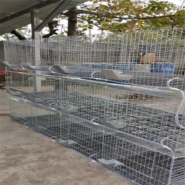 子母兔笼安装图 兔场兔笼修建厂家 母兔笼的价格