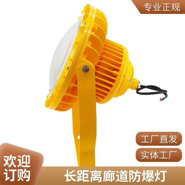 Exmb IICT6 防爆照明灯 市政隧道工程防爆投光灯 可定制功率