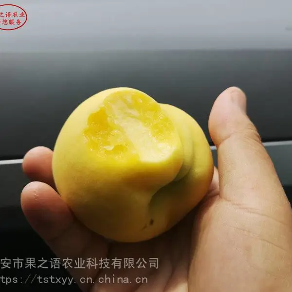 ������۸����36-5���硢36-5������繩Ӧ��