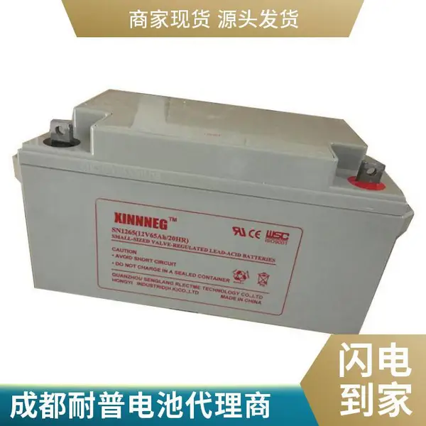 NPP����12V38AH�������� ̩����֤ ����ʽ��ά�� UPSר�ô��ܵ��