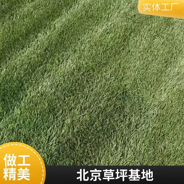 草坪铺装庭院草坪铺装基地施工私家别墅花园设计家庭庭院设计大兴