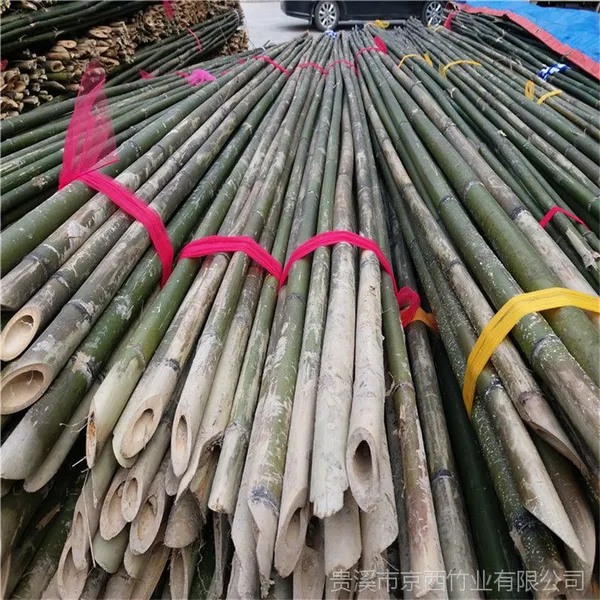 批发防寒工程用的小竹杆 蔬菜支撑冬瓜搭架 枸杞苗支撑竹竿