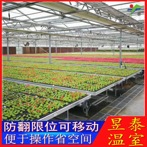 ��̩ ���Ҵ�������������ʩ ��ϫ�ƶ����紲 YTWSMC0032