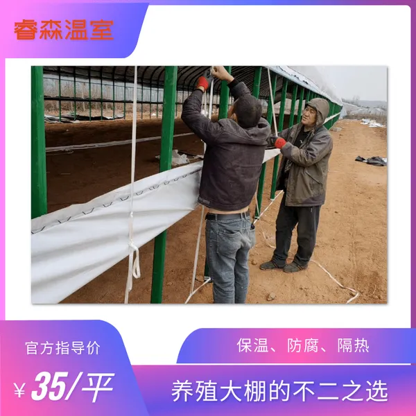 蛋鸡大棚 肉鸭大棚 温室养殖 养猪温室