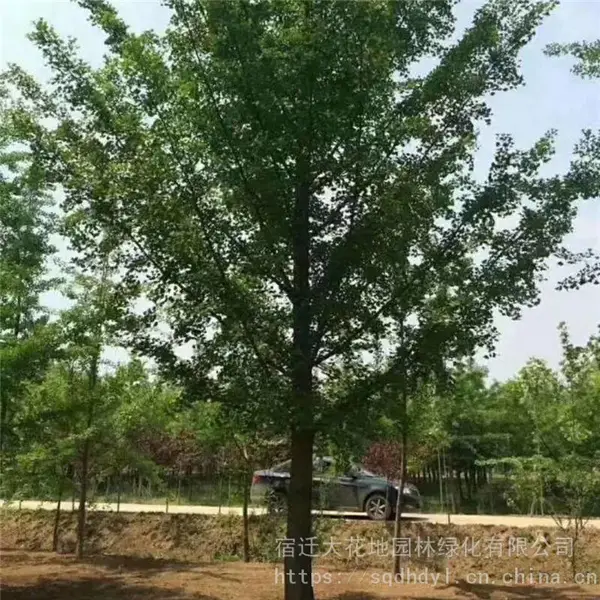 �ؾ�20�����������۸� ���� ���ɻ���