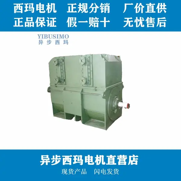 �첽������YKS4506-8-315KW-6KV��ˮ������ת���첽�����F����Ե�ȼ���