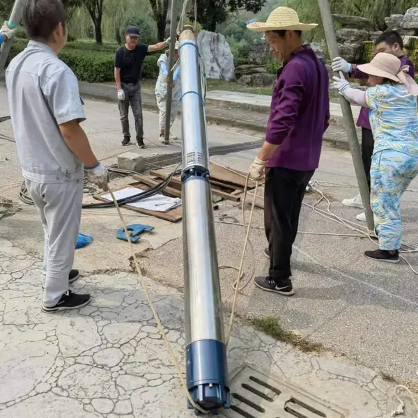美国富兰克林深井泵 富兰克林大流量温泉泵 全 新的深井泵 抽温泉水