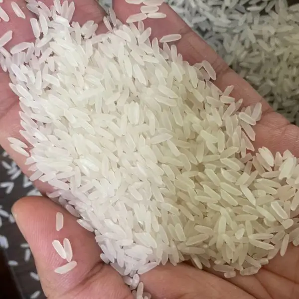 越南OM18香米