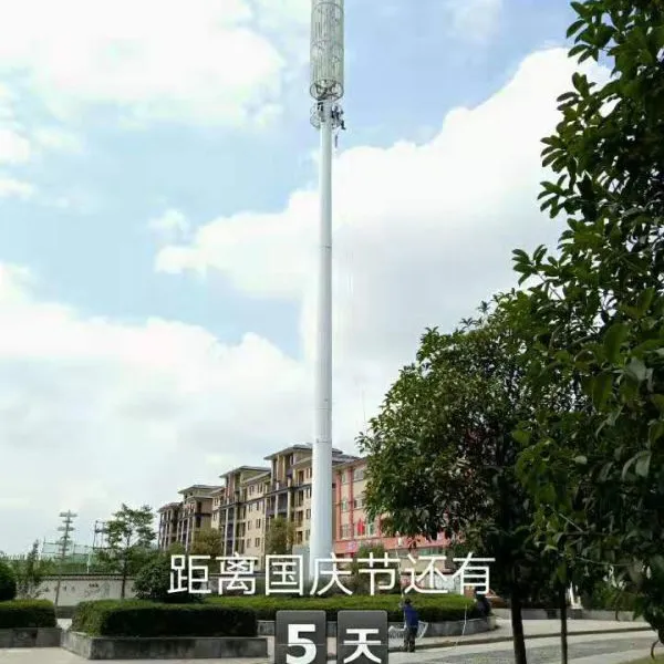 供应联通电信景观塔美化塔单管塔