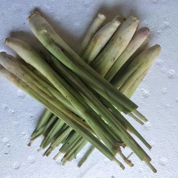 泰国香茅 越南柠檬香茅草