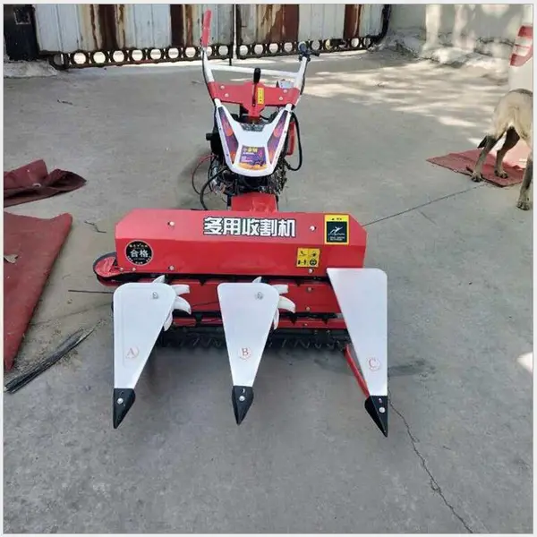��ʽ����ʽС�������ഢ����ɹ�� ���׽ոѸ��е�ո��е